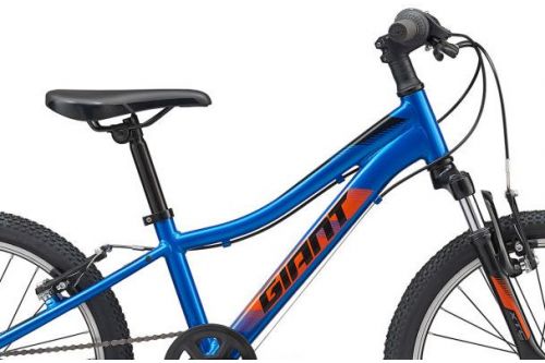 Rower dziecięcy Giant XTC Jr 20 2020